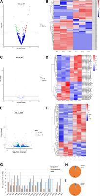 CircRNA-ceRNA Network Revealing the Potential Regulatory Roles of CircRNA in Alzheimer’s Disease Involved the cGMP-PKG Signal Pathway